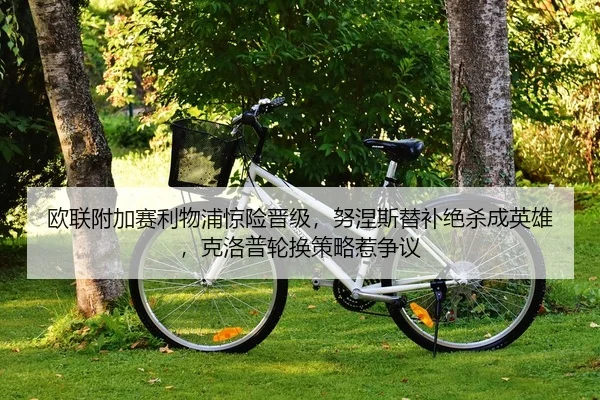 ou-lian-fu-jia-sai-li-wu-pu-jing-xian-jin-ji-nu-nie-si-ti-bu-jue-sha-cheng-ying-xiong-ke-luo-pu-lun-huan-ce-lve-re-2-556.jpg